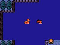 une photo d'Ã©cran de Pokemon Or sur Nintendo Game Boy Color